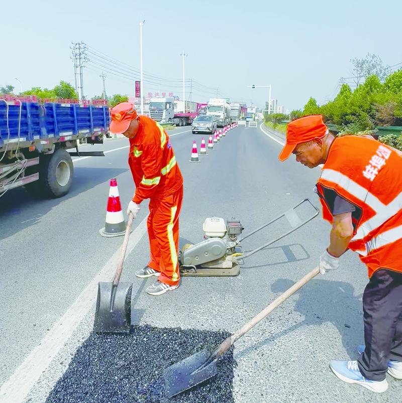透水混凝土与普通混凝土:选择前必看的全面对比评测
